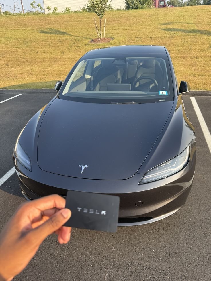 MODEL Y